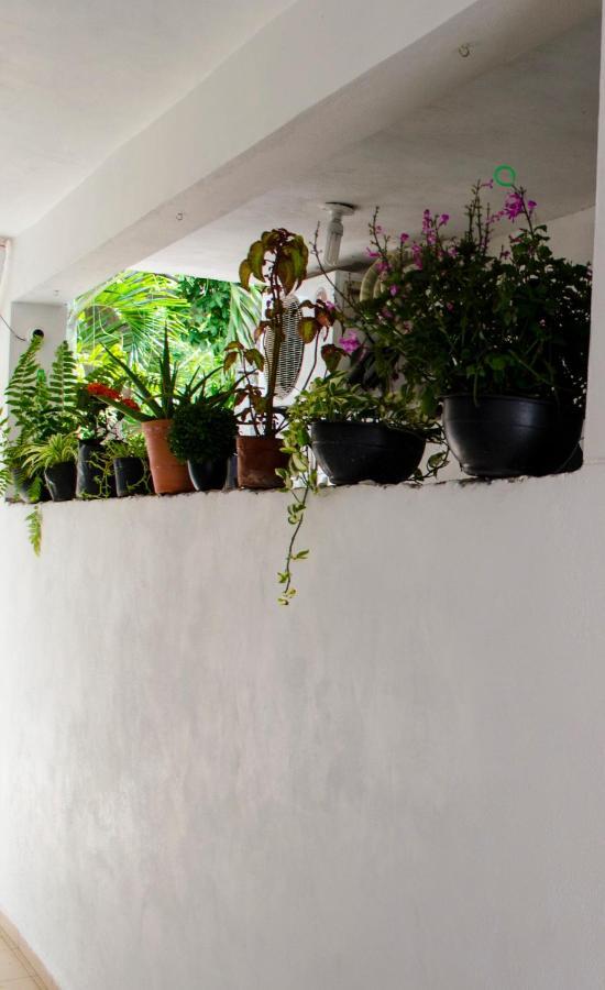 Casa Mar Apartment Playa del Carmen Exterior photo